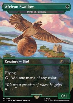 Birds of Paradise