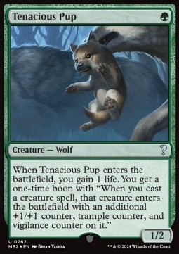 Tenacious Pup