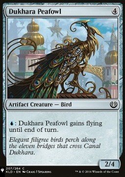 Dukhara Peafowl