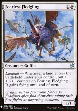 Fearless Fledgling