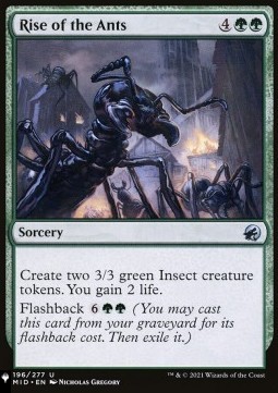 Rise of the Ants