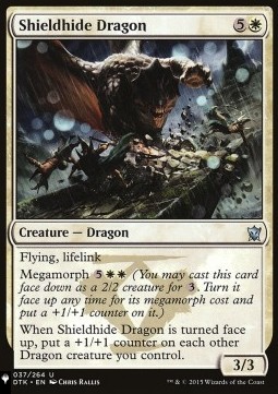 Shieldhide Dragon