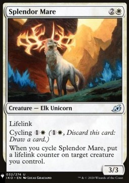 Splendor Mare