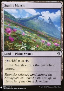 Sunlit Marsh