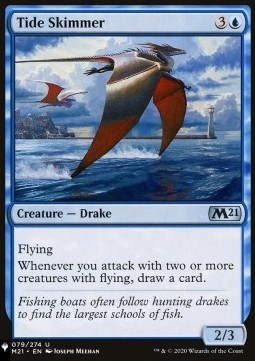 Tide Skimmer