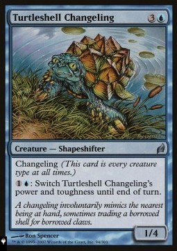 Turtleshell Changeling