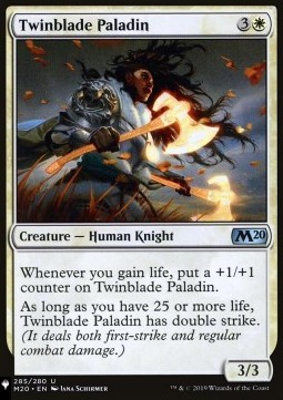 Twinblade Paladin