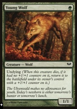 Young Wolf
