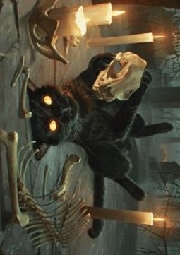 Art Series: Nine-Lives Familiar