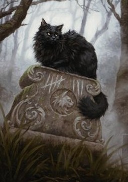 Art Series: Nine-Lives Familiar