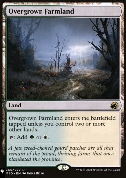 Overgrown Farmland