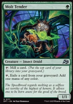 Molt Tender