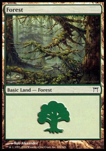 Forest