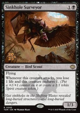 Sinkhole Surveyor