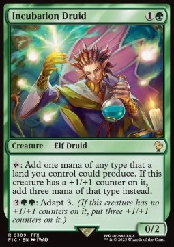 Incubation Druid