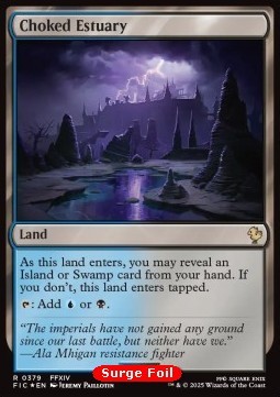 Choked Estuary