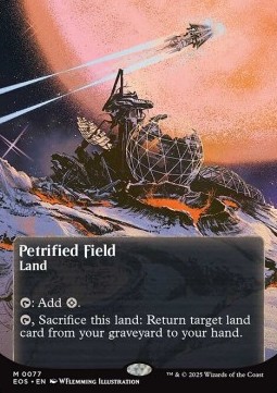 Petrified Field