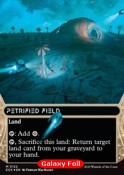 Petrified Field