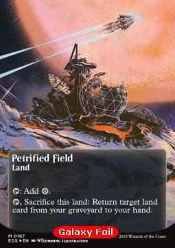 Petrified Field