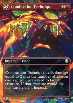 Combustion Technique