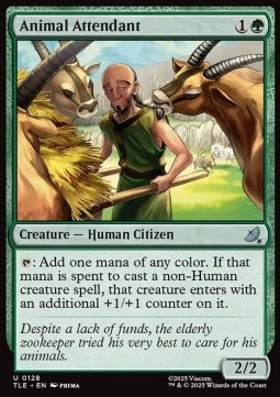 Animal Attendant