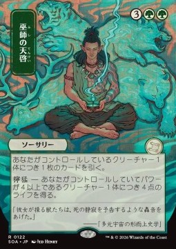Shamanic Revelation