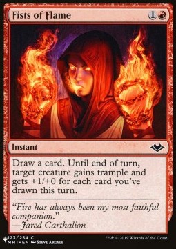 Fists of Flame