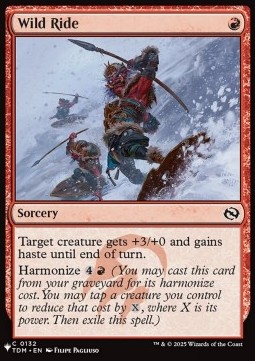 Wild Ride