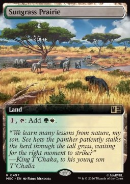 Sungrass Prairie