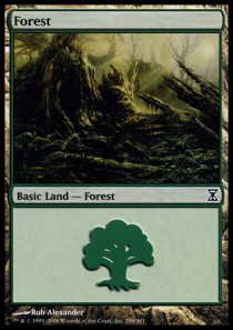 Forest