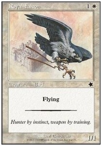 Royal Falcon