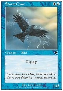 Storm Crow