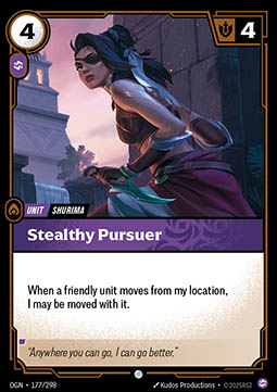 Stealthy Pursuer