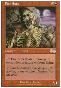 Fire Ants