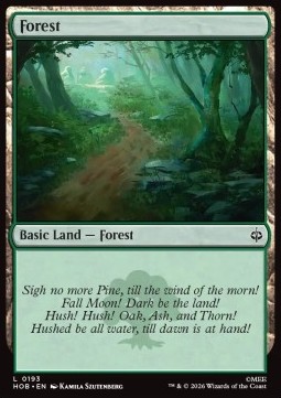 Forest