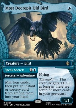 Most Decrepit Old Bird // Speak Secrets