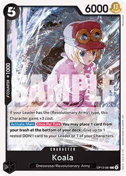 Koala (OP13-019)