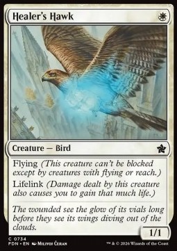 Healer's Hawk