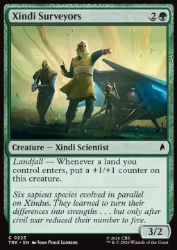 Xindi Surveyors
