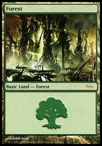 Forest