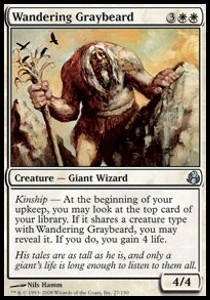 Wandering Graybeard
