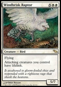 Windbrisk Raptor