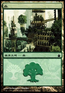Forest