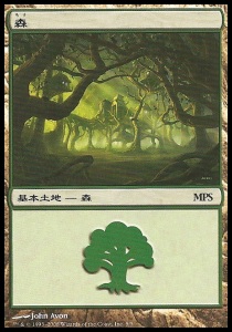 Forest
