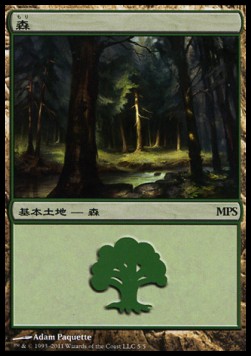 Forest