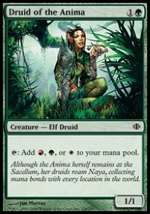 Druid of the Anima