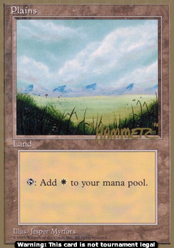 Plains