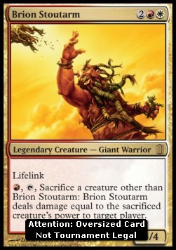 Brion Stoutarm