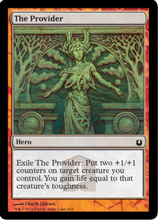 The Provider