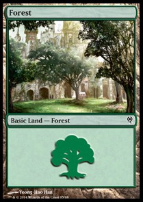 Forest